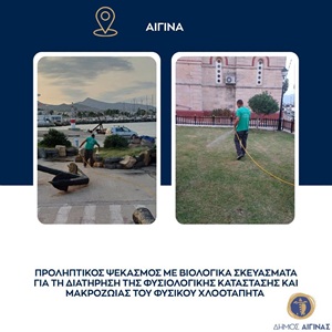 Aegina Stadt