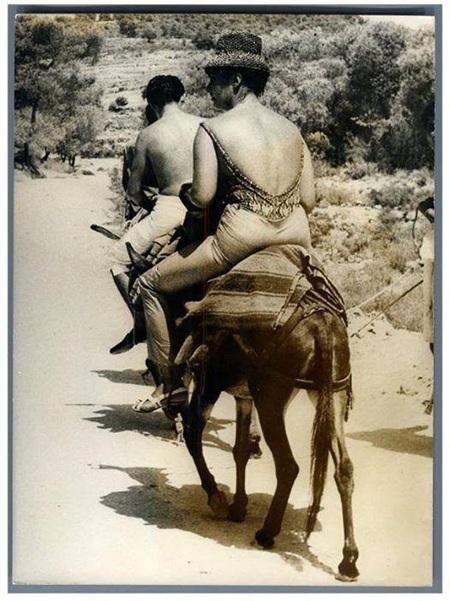 Elizabeth Taylor Aphaia