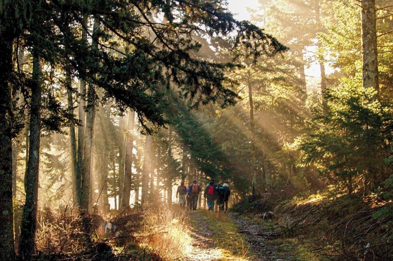 Ein Wanderweg auf dem Mainalon auf dem Peloponnes. Bildquelle: Visit Peloponnese
