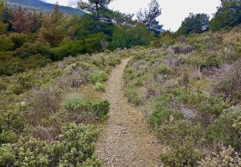 Hymettos: 10 neue Wanderwege