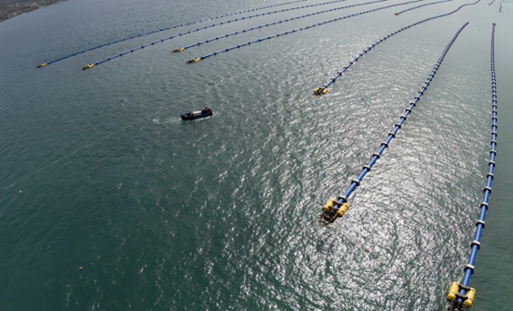 Die Gesundheitsaufsichtsbehörde der Region Attika hat der Gemeinde Ägina nach den Ergebnissen der Analysen konkrete und verbindliche Anweisungen erteilt.