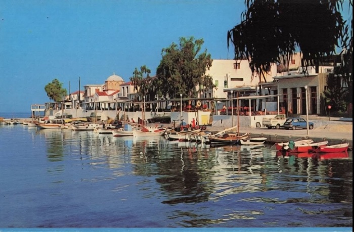 Pertika-170-1.jpg